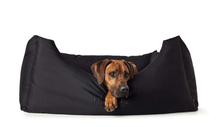 HUNTER Hundesofa Gent